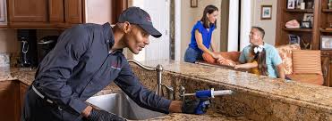 Professional Pest Control in Hoffman Estates, IL